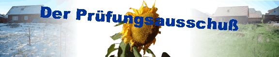 Der Prfungsausschu