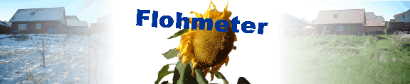 Flohmeter 