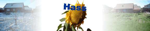 Hass