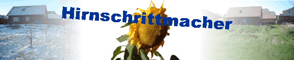 Hirnschrittmacher
