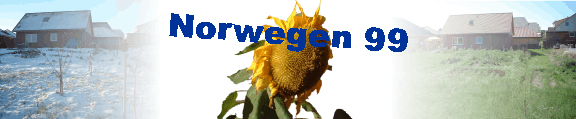 Norwegen 99