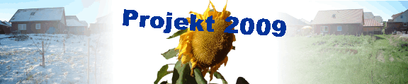 Projekt 2009