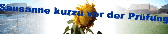 Sausanne kurzu vor der Prfung